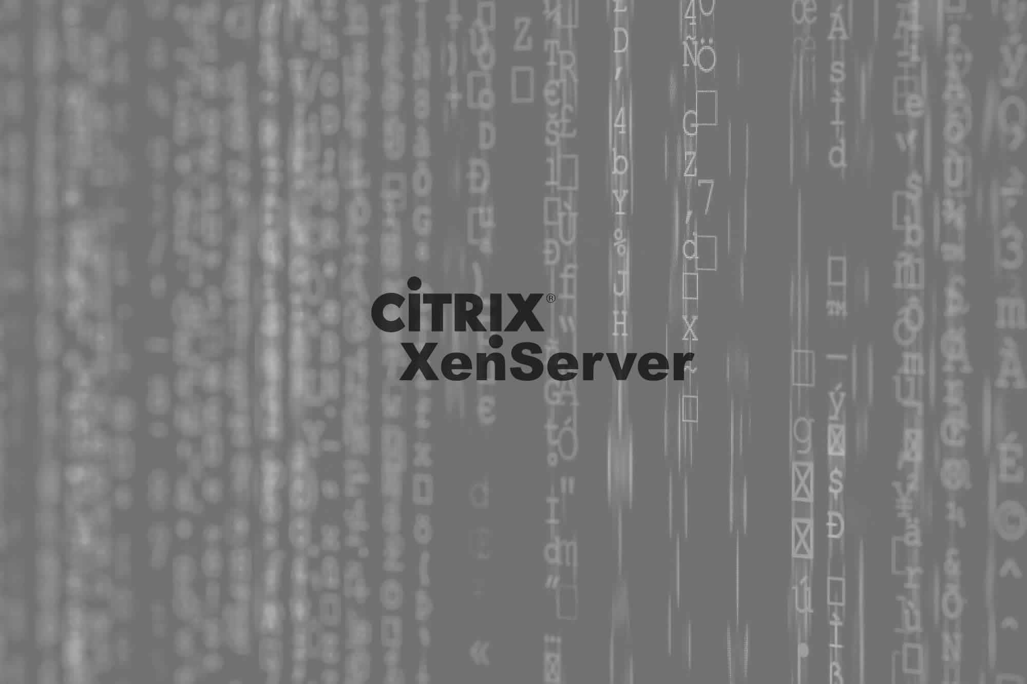 Datenrettung Citrix XenServer