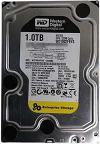 Western Digital Black Datenrettung, RAID5 wiederhergestellt (mit 3 x HDD: WD1002FBYS)
