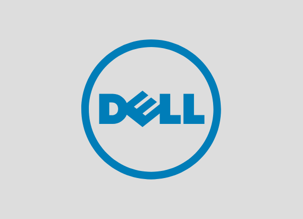 Dell Datenrettungsdienst
